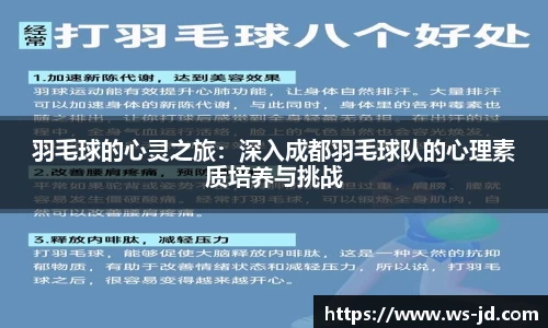 羽毛球的心灵之旅：深入成都羽毛球队的心理素质培养与挑战