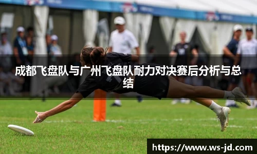 3377体育