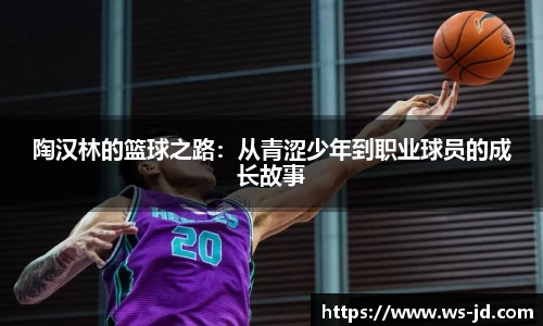 3377体育官网